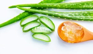 Using aloe vera for acne could help to a certain degree, but it’s best used as a supplement to a full acne treatment system.